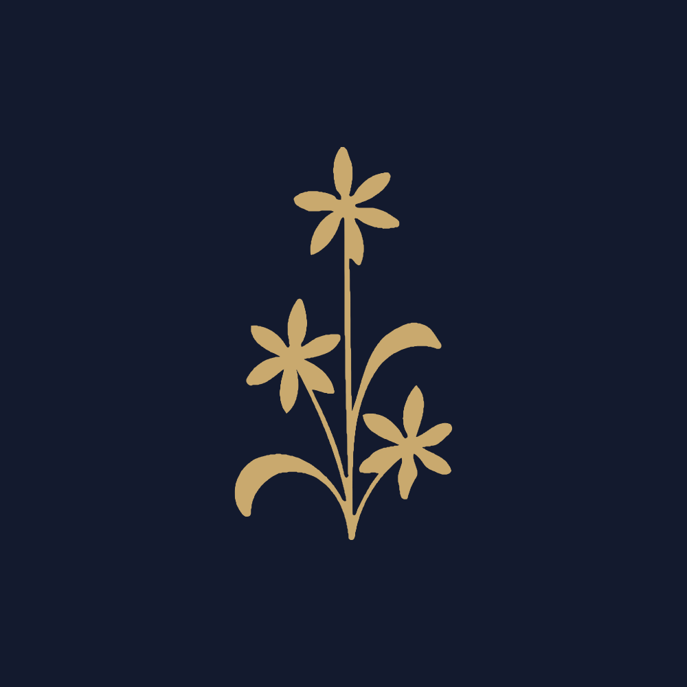 The Witches Bloom